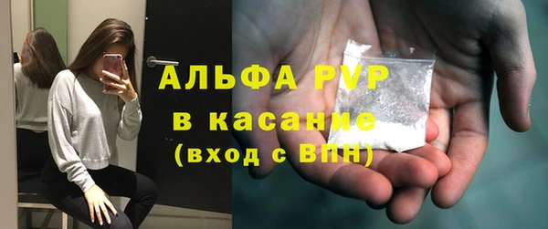 СК Сосновый Бор