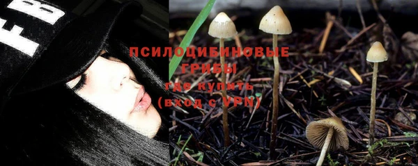 СК Сосновый Бор