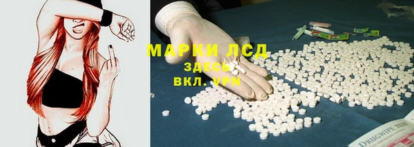 СК Сосновый Бор