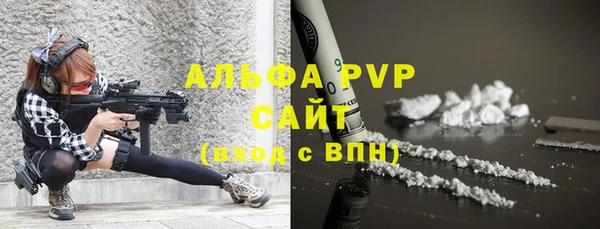 Альфа ПВП Сосновоборск