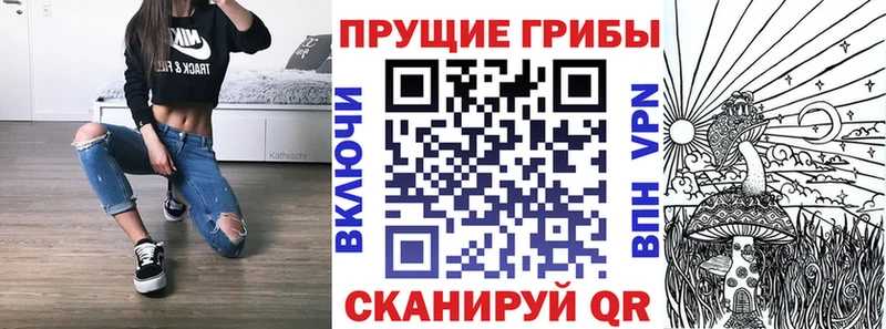 Псилоцибиновые грибы MAGIC MUSHROOMS  мега как войти  Гаджиево 